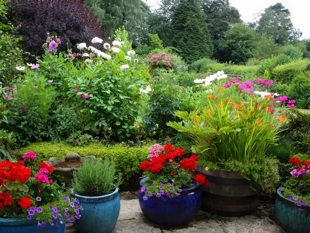 A beginner gardener planting seeds in a small raised garden bed, showcasing budget-friendly gardening tips.